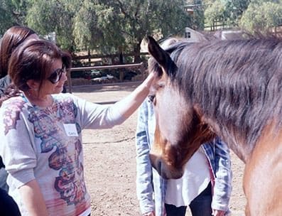 equine therapy women with horse