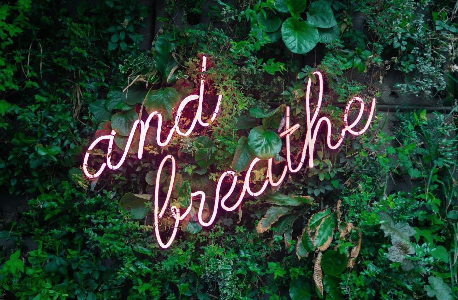 neon sign reading "just breathe" against wall of ivy