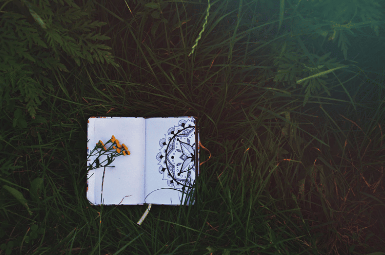 open journal on grass