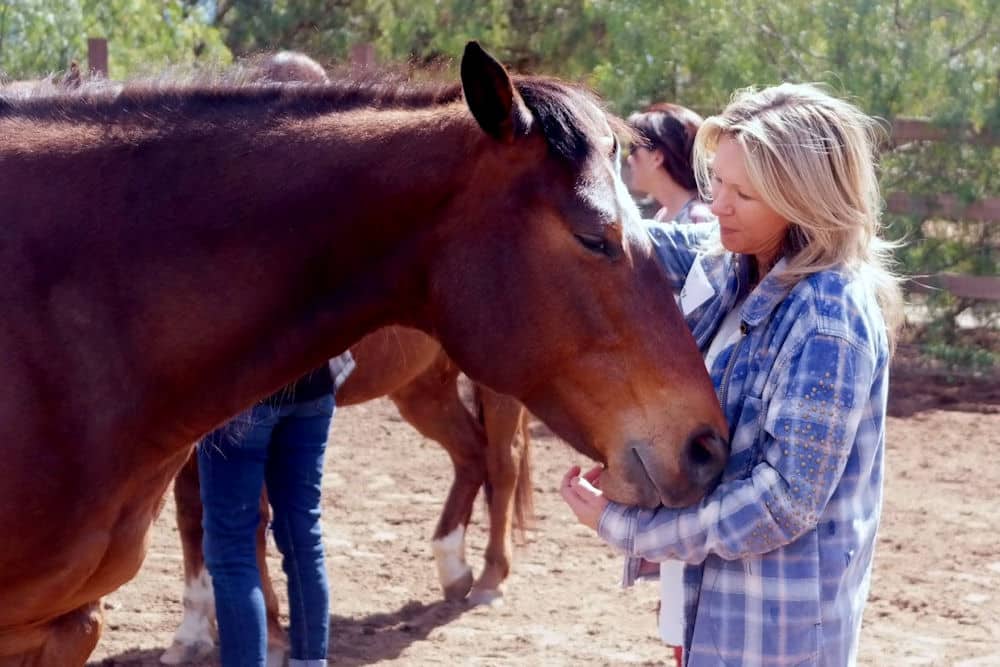 equine therapy women with horse