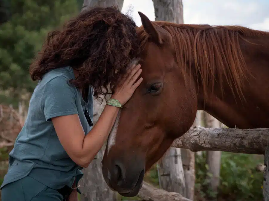 a-woman-with-her-head-on-the-horse