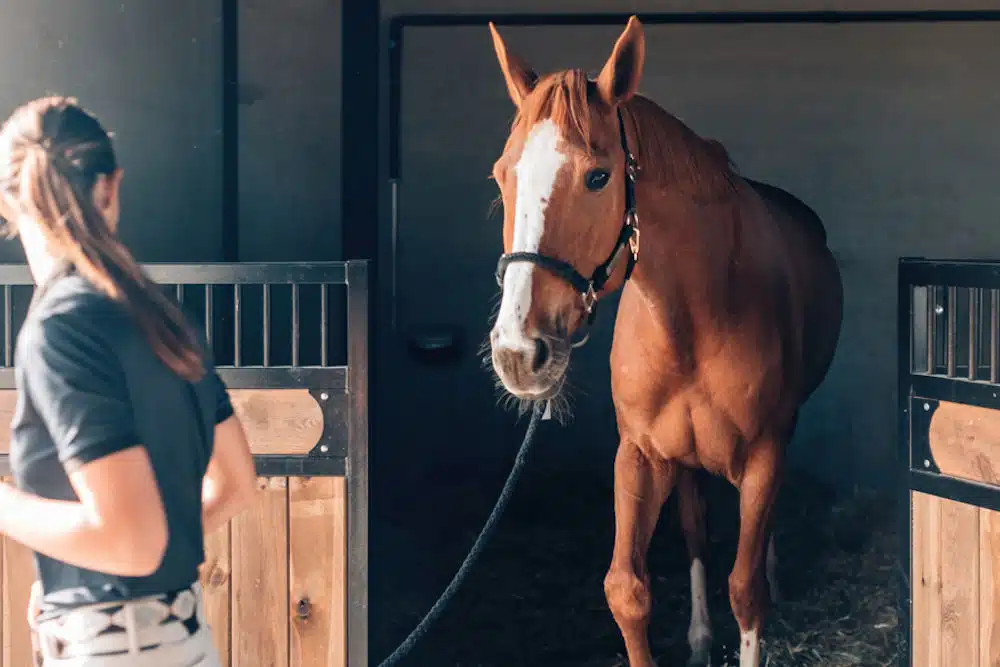 a-woman-healing-her-spirit-through-equine-therapy